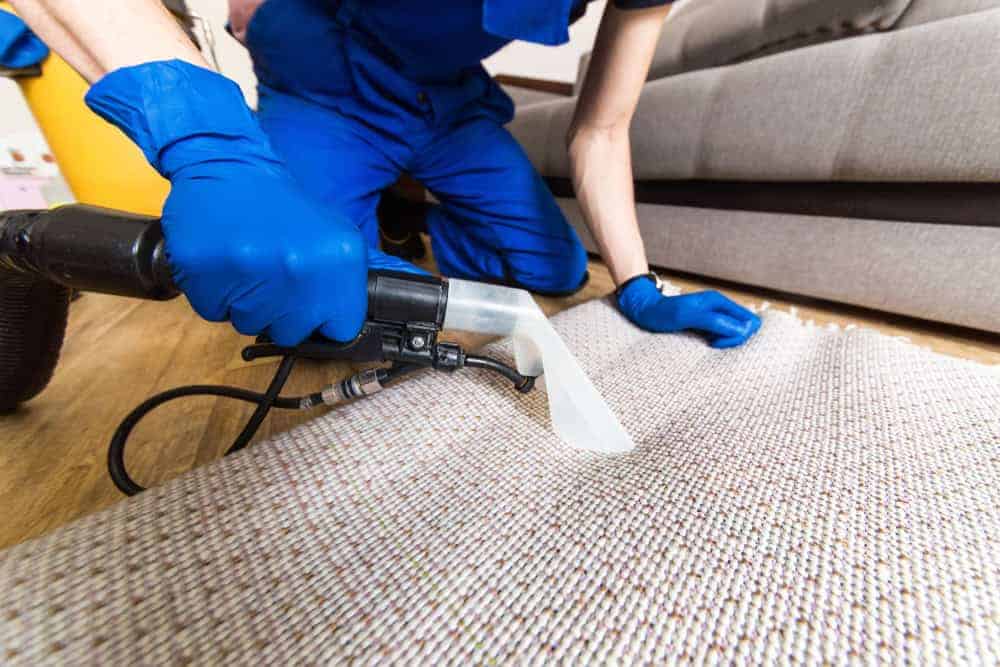 A person in blue uniform and gloves is performing carpet cleaning with a machine on a light-colored rug near a gray sofa in the living room.