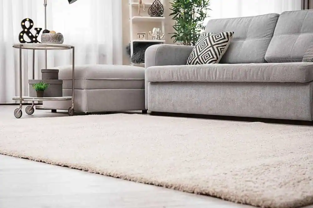 A cozy living room with a light gray sofa, patterned cushions, a soft beige rug that looks fresh after carpet cleaning, a matching ottoman, a round side table with decor, and large windows letting in natural light.